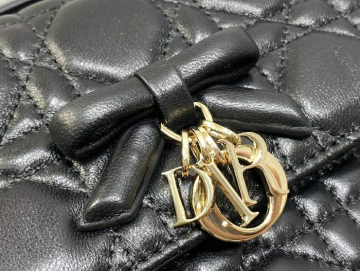 Picture of Dior Handbags _SKUfw239324111fw